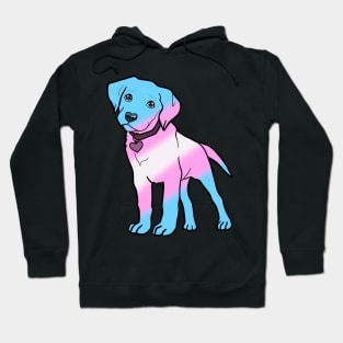 Labrador - Transgender Pride! Hoodie